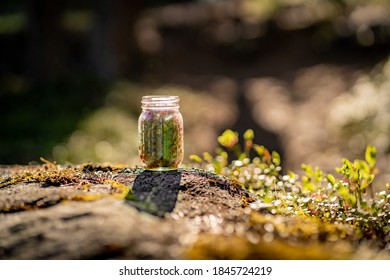 911体育直播：热血赛事尽在掌握，精彩不容错过！