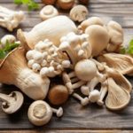 皇冠足球网:球迷必备的足球资讯与直播网站 4neh6rwl16