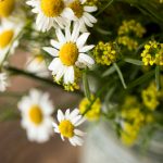 皇冠新2投注:新手玩家必知的投注技巧与策略 5uyq1