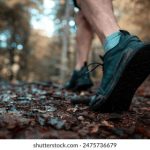 918彩票最新开奖结果查询与历史号码汇总 6melzea57