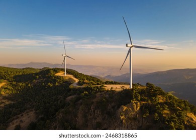 皇冠球网新2的优势与用户反馈全面分析