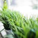 皇城的建筑艺术:古代工匠的智慧与匠心 bg928