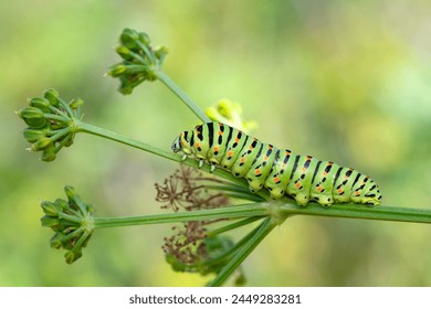 皇冠体育app:让你随时随地掌握体育动态 皇冠体育app:让你随时随地掌握体育动态