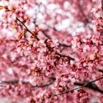 911开奖记录最新官方完整版数据查询 xw0d4mywe9